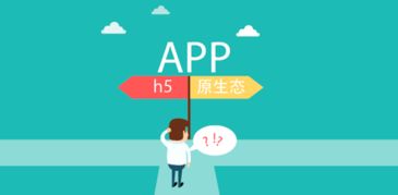 新疆熵客云 专属定制的网页设计、App开发与乌鲁木齐网站建设推广专家